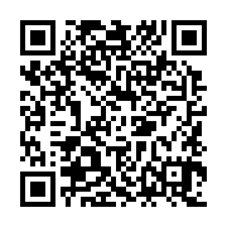 QR code for ZDL385