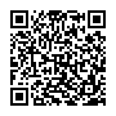 QR code for ZDL736