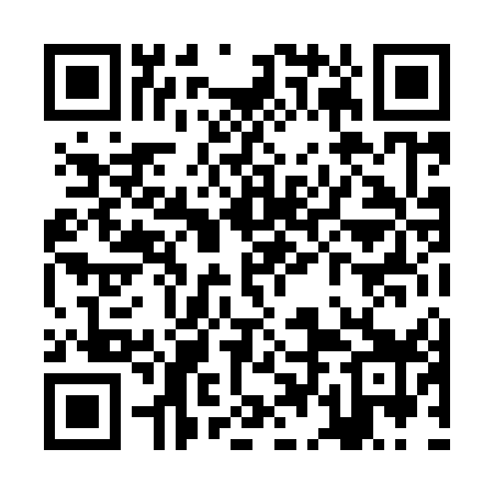 QR code for ZDL959