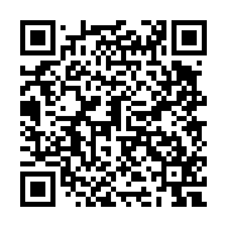 QR code for ZDP417