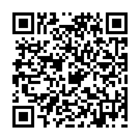 QR code for ZDT994