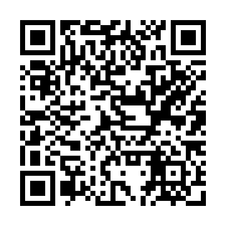 QR code for ZDV381