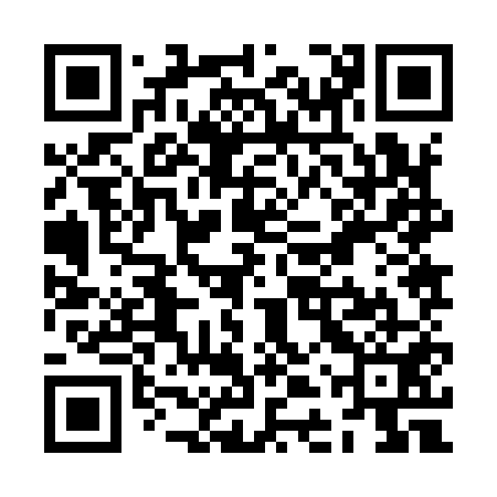 QR code for ZDZ951
