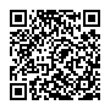 QR code for ZFL667