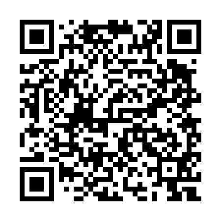 QR code for ZFR491