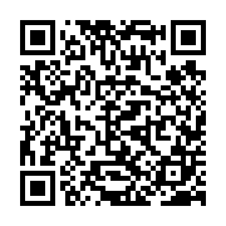 QR code for ZFV602