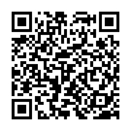 QR code for ZGI338
