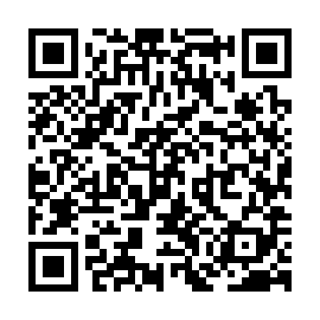 QR code for ZGM389