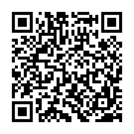 QR code for ZGN096