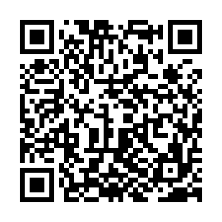 QR code for ZHI916