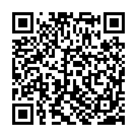 QR code for ZHJ217