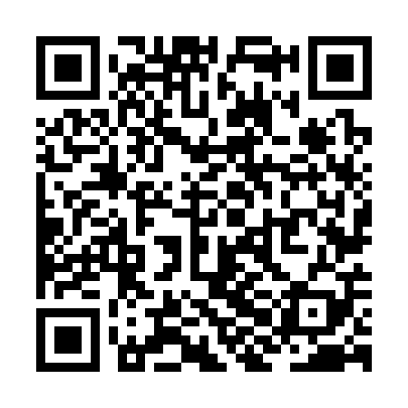 QR code for ZHN309