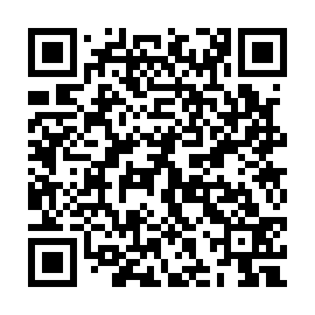 QR code for ZHS133
