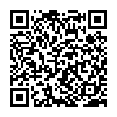 QR code for ZIU291