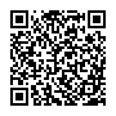 QR code for ZIZ382