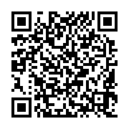 QR code for ZJM393