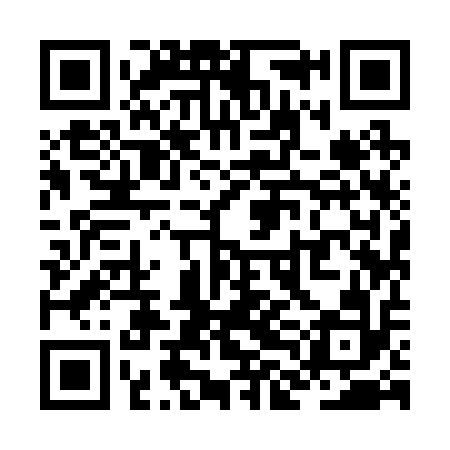 QR code for ZLI212