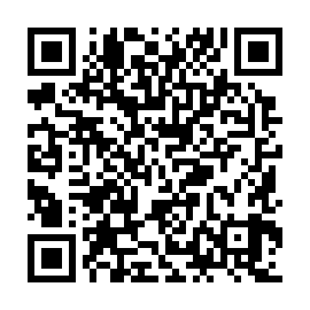 QR code for ZLI389