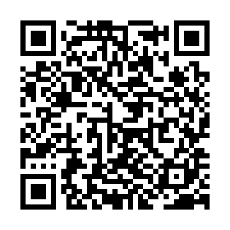 QR code for ZLO381