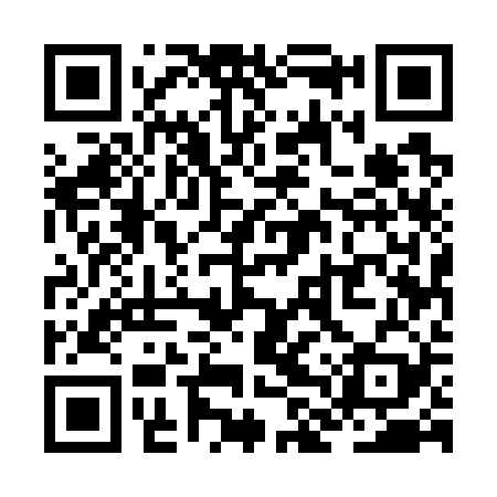 QR code for ZLU729