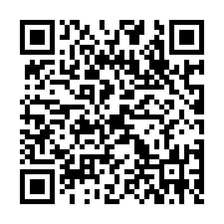 QR code for ZLU913