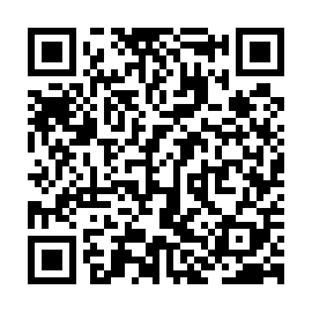 QR code for ZLW509
