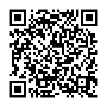 QR code for ZMJ311