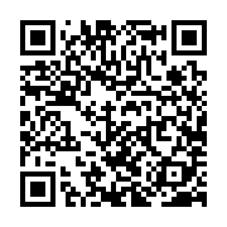 QR code for ZMT389