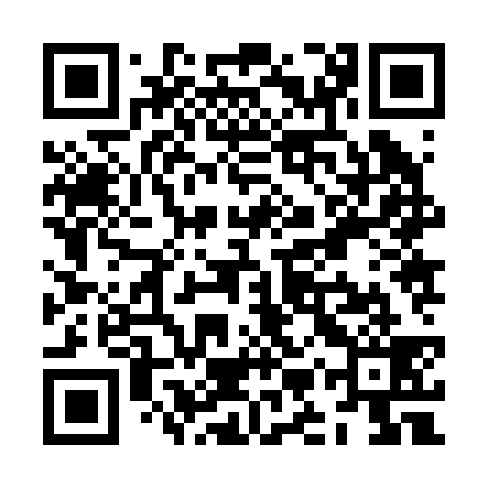 QR code for ZMZ239