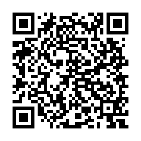QR code for ZMZ791