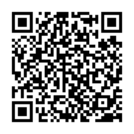 QR code for ZNN619