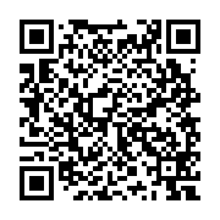 QR code for ZPR399