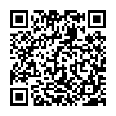 QR code for ZQL294