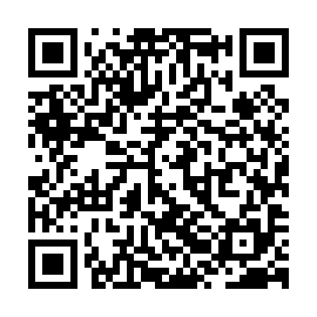 QR code for ZRM095