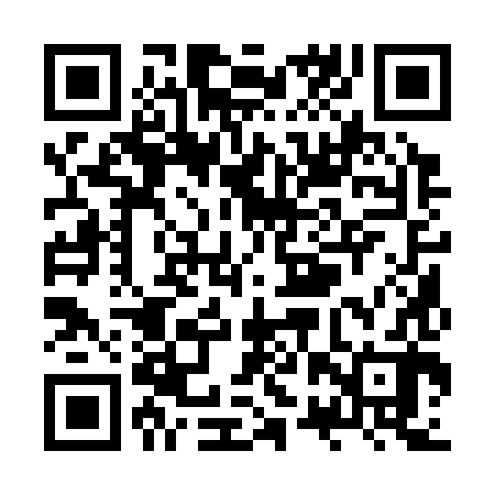 QR code for ZRQ382