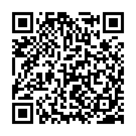 QR code for ZSI990