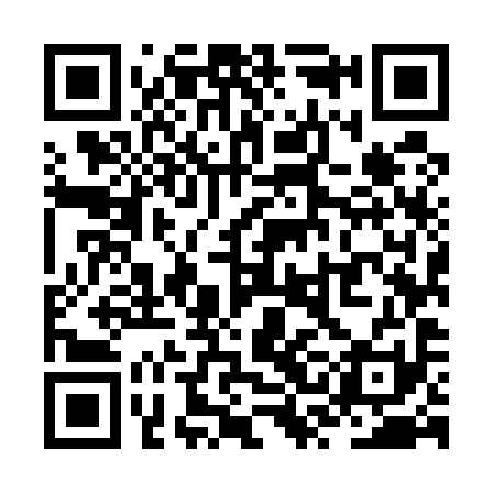 QR code for ZSM591