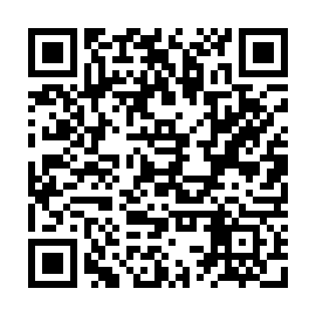 QR code for ZST163