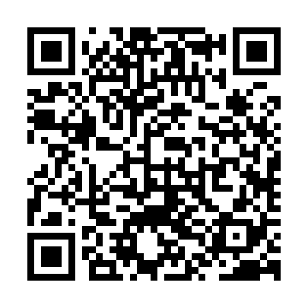 QR code for ZTB928