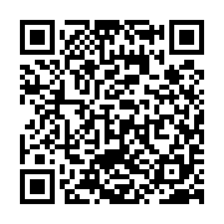 QR code for ZTE595