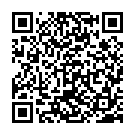 QR code for ZTN132