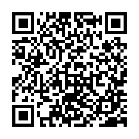QR code for ZTN287