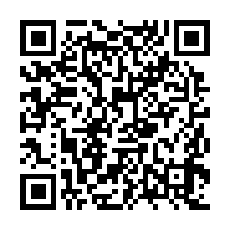 QR code for ZTR399