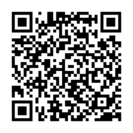 QR code for ZTW739