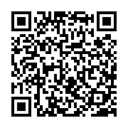QR code for ZTX509