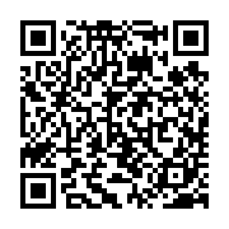 QR code for ZUB600