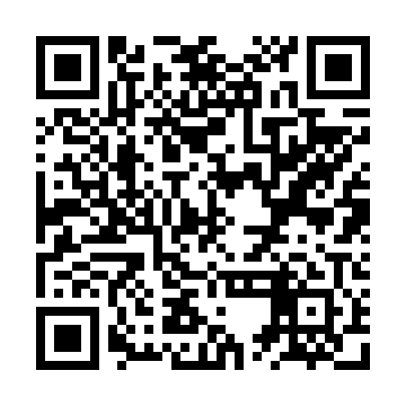 QR code for ZUB601