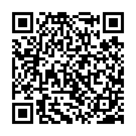 QR code for ZUD603