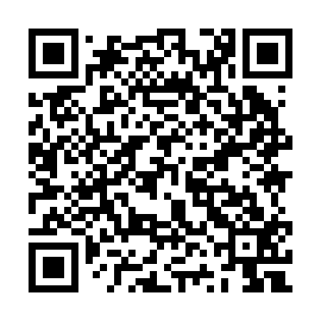QR code for ZVI213