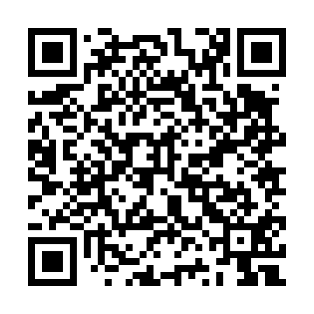 QR code for ZVJ411